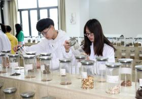 超微粉碎機(jī)在多個領(lǐng)域中的重要用途